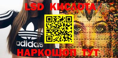 гидра Рязань