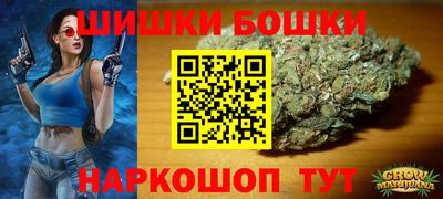 гидра Рязань