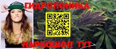 гидра Рязань