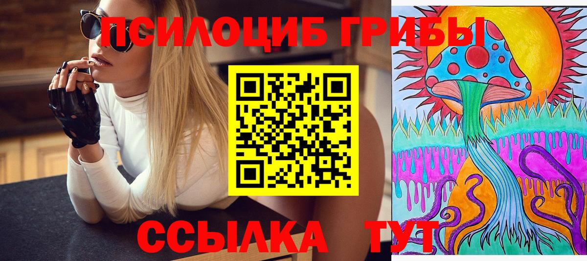 Нягань  Псилоцибиновые грибы Psilocybine cubensis  что такое наркотик  Вход с VPN 