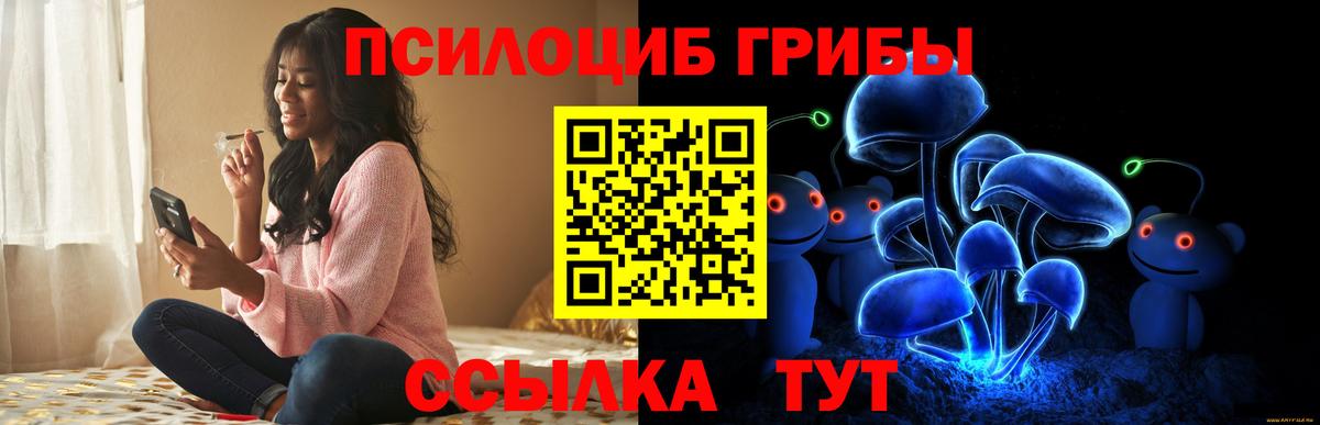 Псилоцибиновые грибы прущие грибы Нягань